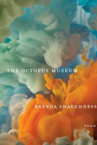 book_octupus_museum