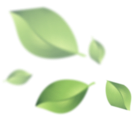 leaf