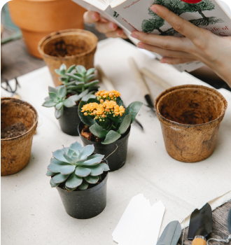 garden care flowerpots